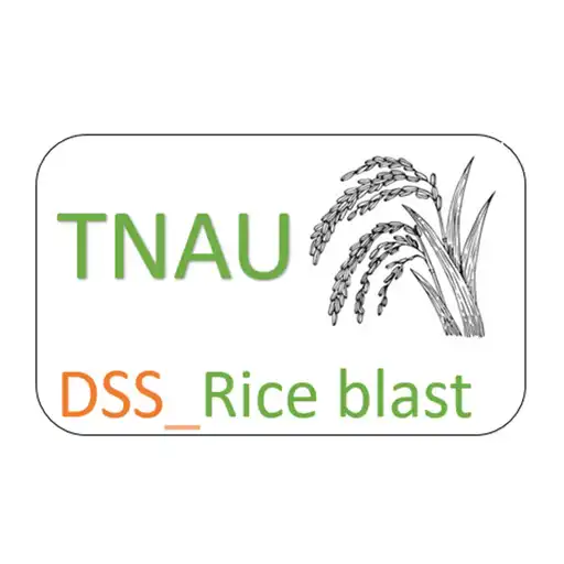 Play DSS Rice blast APK Play DSS Rice blast APK