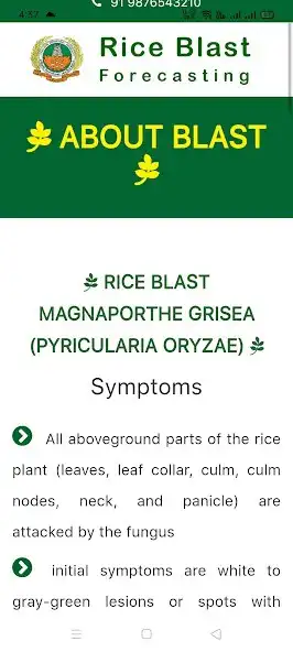 Play DSS Rice blast  and enjoy DSS Rice blast with UptoPlay