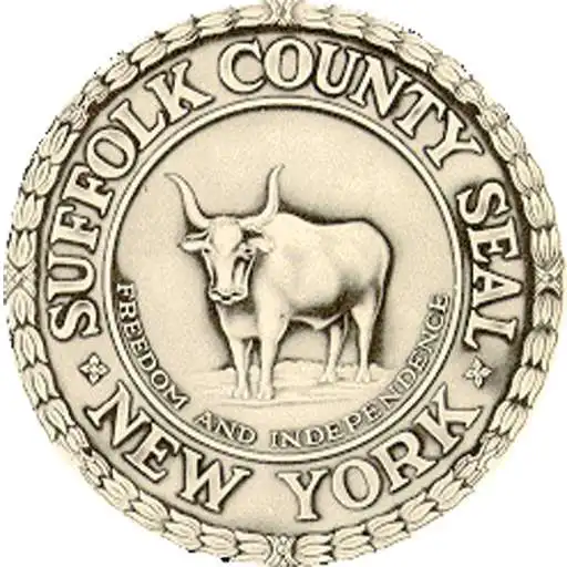 Free play online DSS Workplace APK