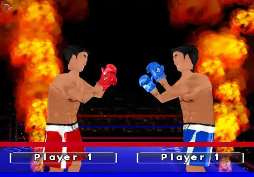 Play Dual Boxing