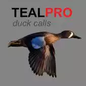 Free play online Duck Calls for Teal APK Free play online Duck Calls for Teal APK