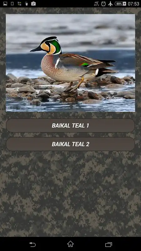 Play Duck calls