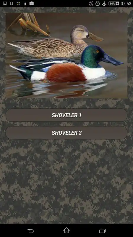 Play Duck calls