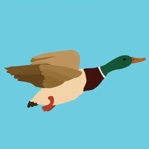 Play Duck Dodger APK Play Duck Dodger APK