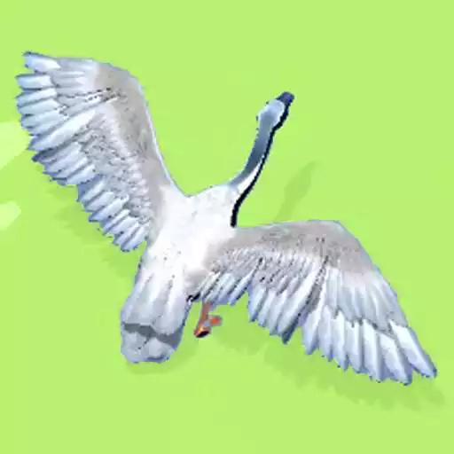 Free play online DuckDuckGo APK Free play online DuckDuckGo APK