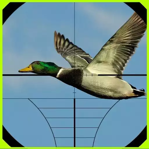 Play Duck Hunter Game APK