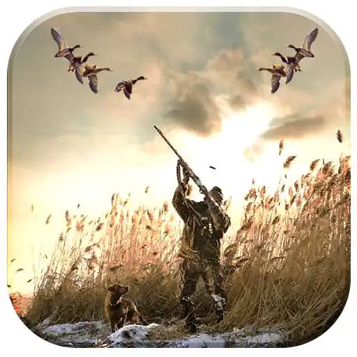 Play Duck Hunting 3D - Diver Ducks APK