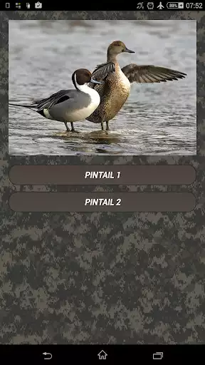 Play Duck hunting calls  and enjoy Duck hunting calls with UptoPlay