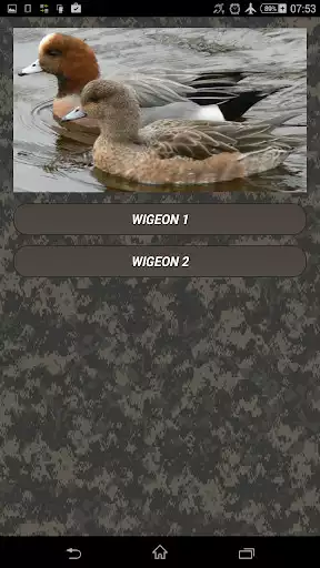 Play Duck hunting calls as an online game Duck hunting calls with UptoPlay