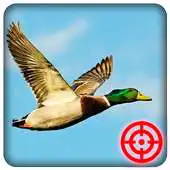 Free play online Duck Hunting Shooting Season APK