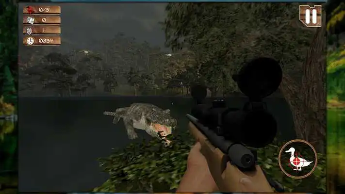 Play Duck Jungle Hunting