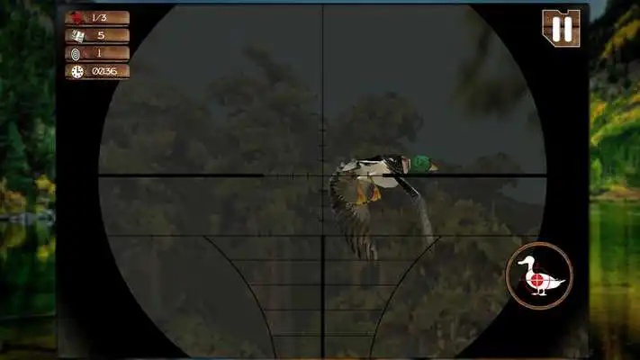 Play Duck Jungle Hunting