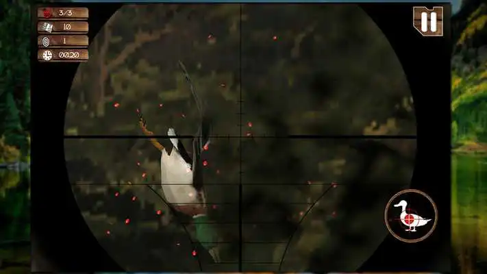 Play Duck Jungle Hunting