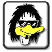 Free play online Duck Radio - LCCC APK