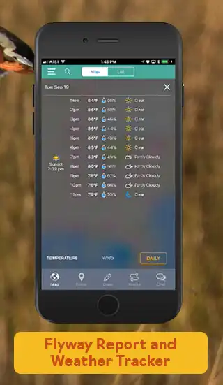 Play Duckr — Duck Hunting App with  as an online game Duckr — Duck Hunting App with  with UptoPlay
