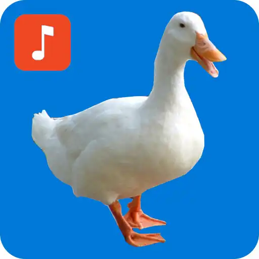 Play Duck Ringtones APK