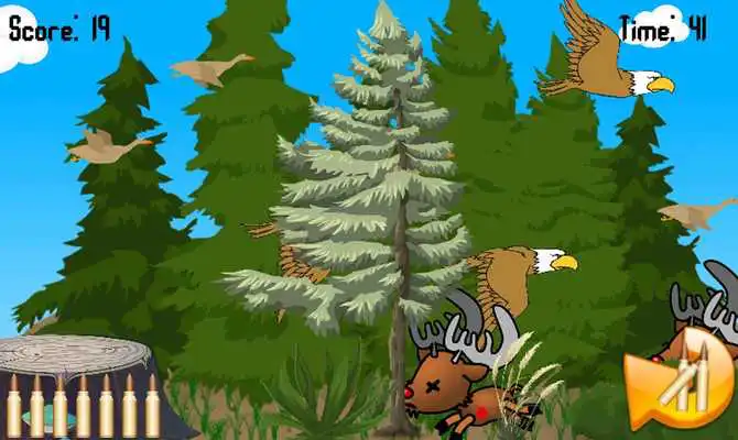 Play Duck Shooter