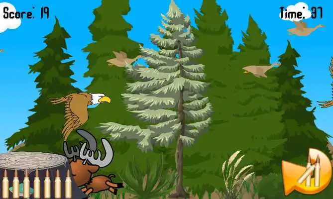 Play Duck Shooter