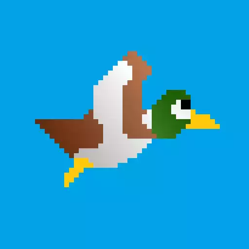 Free play online Duck Shoot APK Free play online Duck Shoot APK