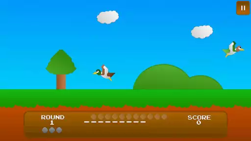 Play Duck Shoot