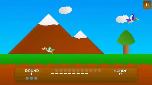 Play Duck Shoot