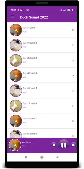 Play Duck Sounds 2022  and enjoy Duck Sounds 2022 with UptoPlay