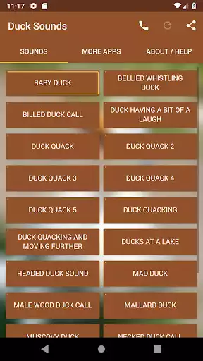 Play Duck Sounds  and enjoy Duck Sounds with UptoPlay
