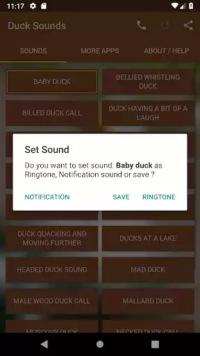 Play Duck Sounds as an online game Duck Sounds with UptoPlay