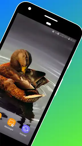 Play Duck Wallpaper as an online game Duck Wallpaper with UptoPlay