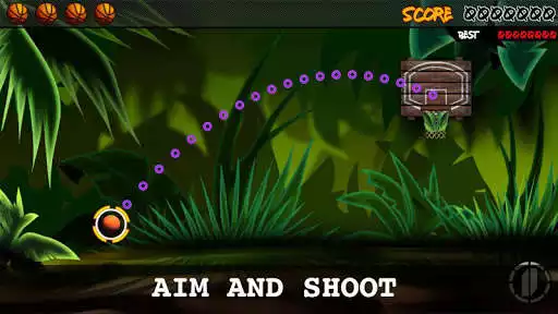 Play Dunk Shoot Hit Basket 3D