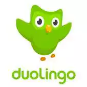 Free play online Duolingo APK Free play online Duolingo APK