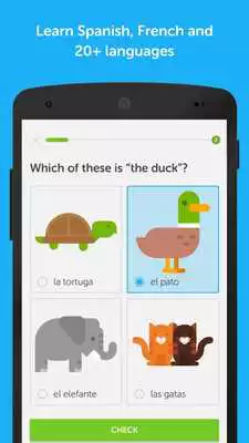 Play Duolingo