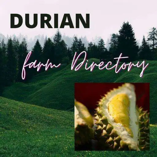 Play DURIAN FARM DIRECTORY APK Play DURIAN FARM DIRECTORY APK