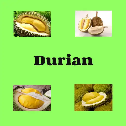 Play Durian APK
