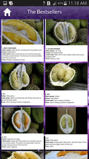 Play Durian as an online game Durian with UptoPlay