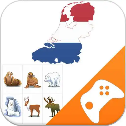 Free play online Dutch Game: Word Game, Vocabulary Game APK