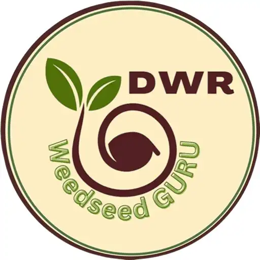 Play DWR Weedseed GURU APK