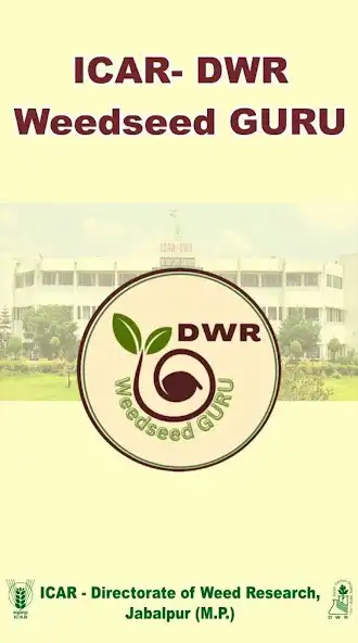 Play DWR Weedseed GURU  and enjoy DWR Weedseed GURU with UptoPlay