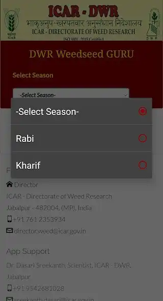 Play DWR Weedseed GURU as an online game DWR Weedseed GURU with UptoPlay