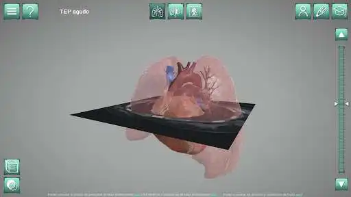 Play Dx3D  and enjoy Dx3D with UptoPlay