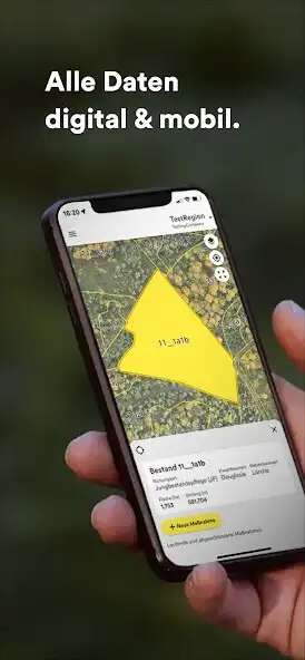 Play Dynamic Forest  and enjoy Dynamic Forest with UptoPlay