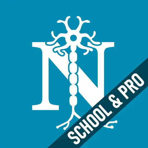 Play Dyslexia Test: School  Pro APK