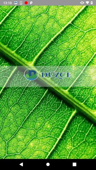 Play Düzce and enjoy Düzce with UptoPlay Play Düzce and enjoy Düzce with UptoPlay