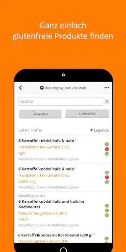 Play DZG-App as an online game DZG-App with UptoPlay