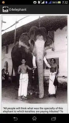 Play E4elephant
