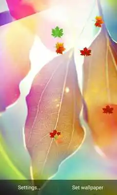 Play E7 MagicTouch Leaves Wallpaper