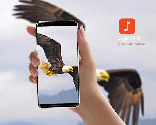 Play Eagle Bird Sound Effects  and enjoy Eagle Bird Sound Effects with UptoPlay