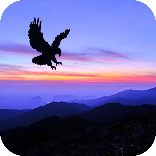 Play Eagle Gallery: Photo Editor APK Play Eagle Gallery: Photo Editor APK