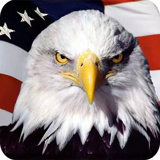 Run free android online Eagle HD Wallpaper APK Run free android online Eagle HD Wallpaper APK