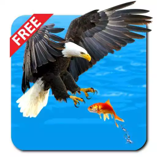 Play Eagle Hunter APK Play Eagle Hunter APK